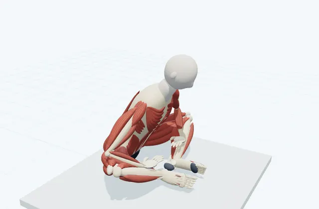A schematic 3D view of Seated Butterfly Stretch