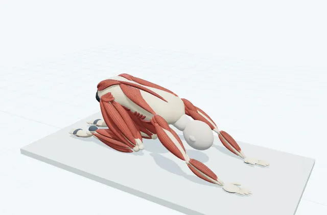 A schematic 3D view of Supported Child's Pose