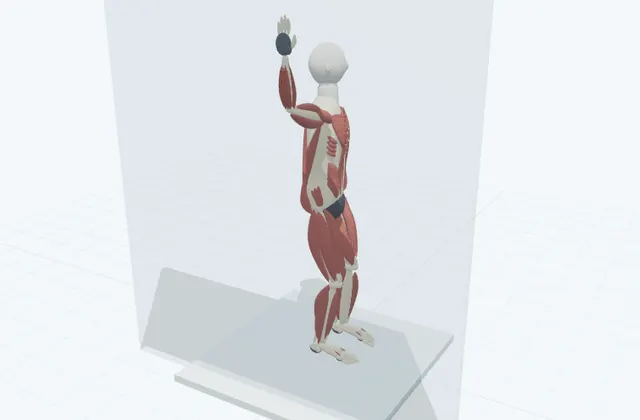 A schematic 3D view of Wall Chest Stretch