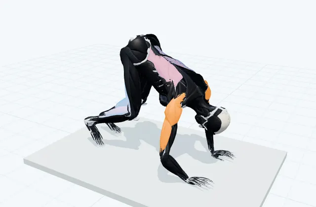 手と足で山をつくり膝を交互に曲げるの3D模式図