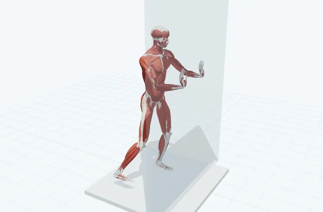 脚を左右に振るの3D模式図