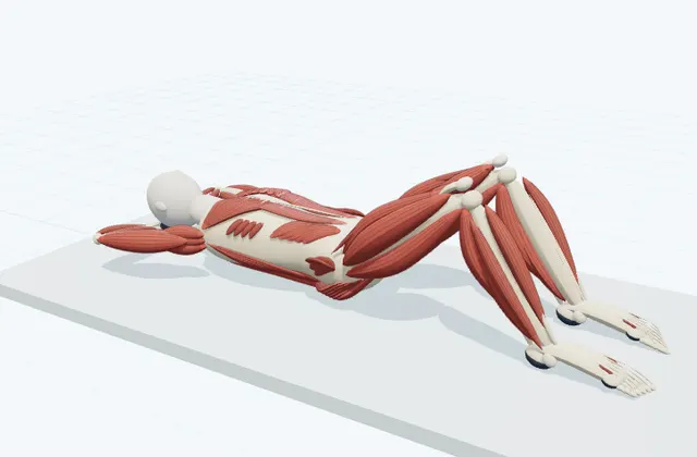 A schematic 3D view of Supine Elbow Opening