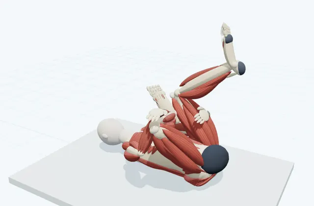 A schematic 3D view of Supine Figure-Four Stretch