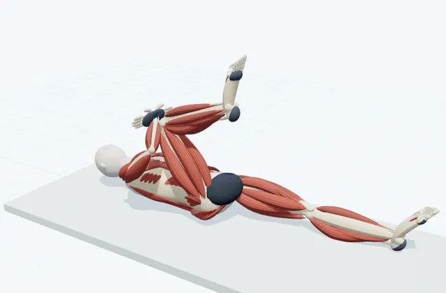 A schematic 3D view of Single Knee-to-Chest