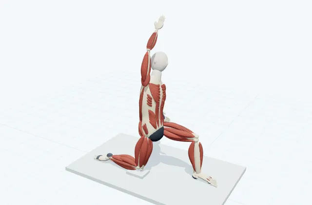 A schematic 3D view of Half-Kneeling Side Bend