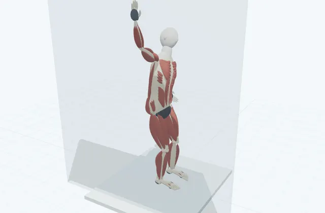 A schematic 3D view of Wall Side Reach
