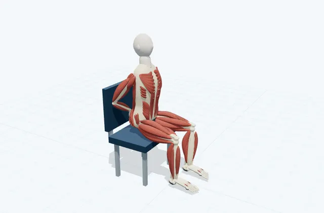 A schematic 3D view of Seated Hands-Behind Chest Opener