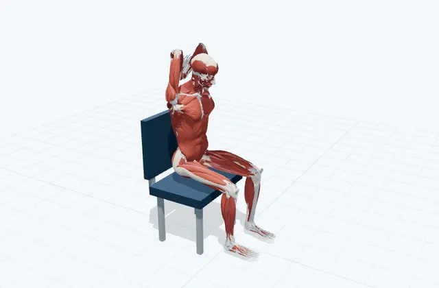 頭の後ろで手を組んであごを引くの3D模式図