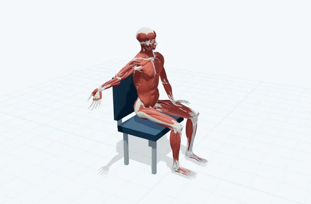 A schematic 3D view of Median Nerve Glide