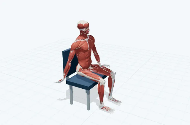 A schematic 3D view of Radial Nerve Glide