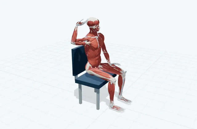 A schematic 3D view of Ulnar Nerve Glide