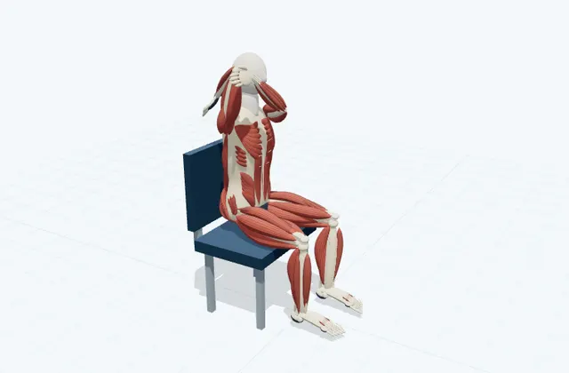 A schematic 3D view of Overhead Triceps Stretch