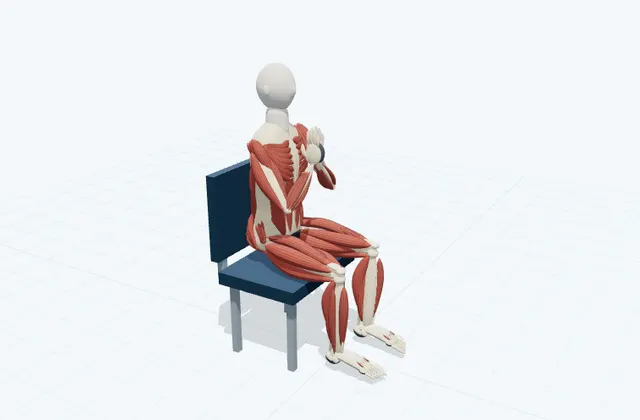 A schematic 3D view of Prayer Wrist Stretch