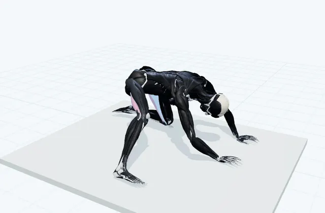 片脚を横に伸ばしてお尻を引くの動作の一場面を示す3D模式図