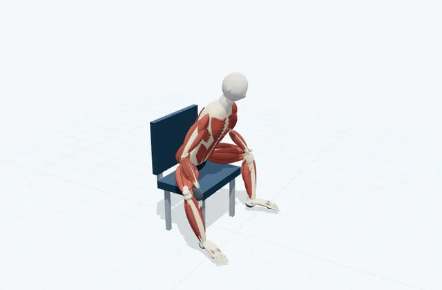 A schematic 3D view of Seated Adductor Stretch