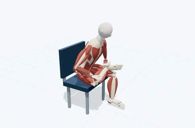 A schematic 3D view of Seated Figure-Four