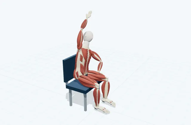 A schematic 3D view of Seated Side Bend