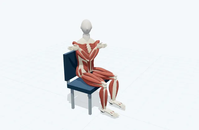 A schematic 3D view of Seated Upper-Body Twist