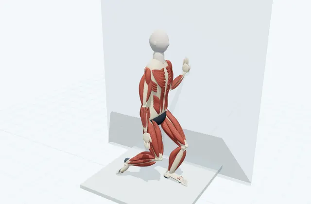 A schematic 3D view of Standing Shin Stretch