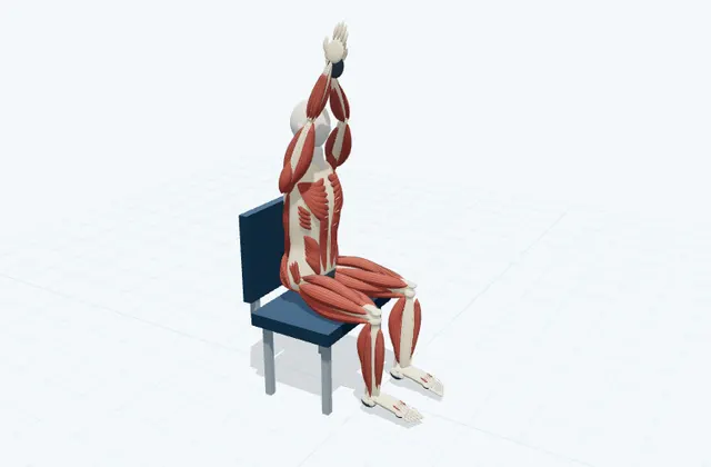 A schematic 3D view of Assisted Seated Arm Raise