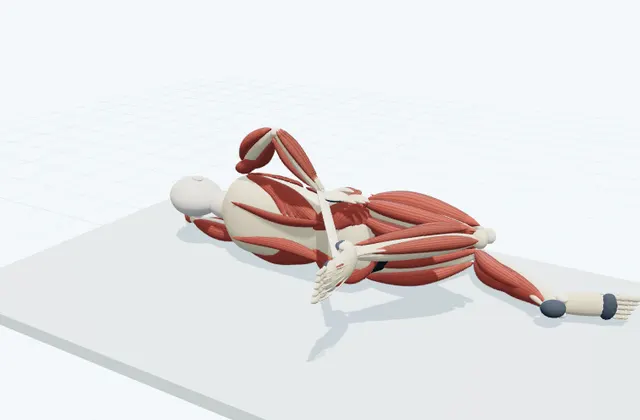 A schematic 3D view of Side-Lying Quadriceps Stretch