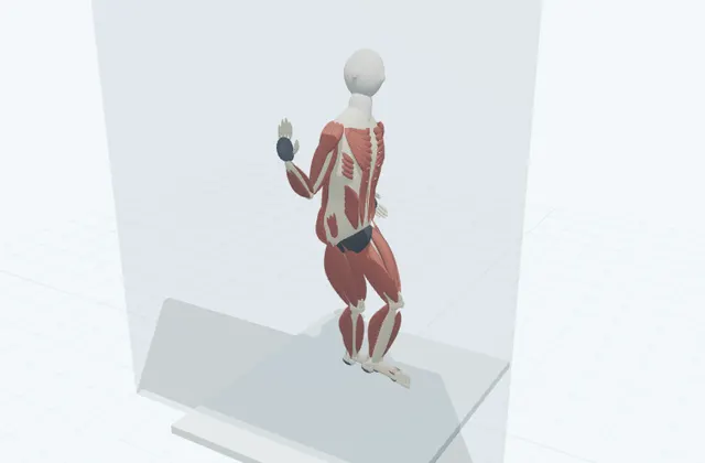 A schematic 3D view of Standing Iliotibial Band Stretch