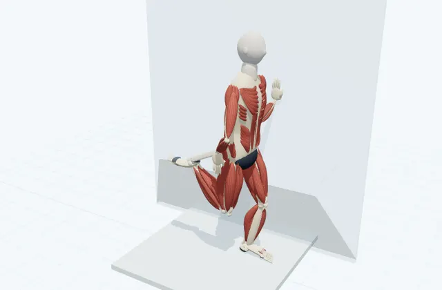 A schematic 3D view of Supported Standing Quadriceps Stretch