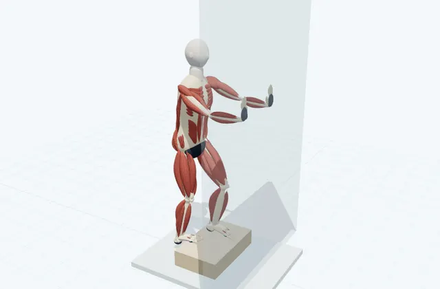 A schematic 3D view of Step Calf Stretch