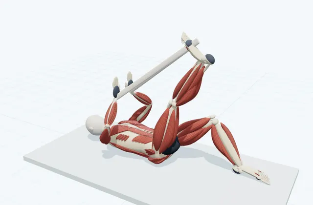 A schematic 3D view of Supine Towel Hamstring Stretch