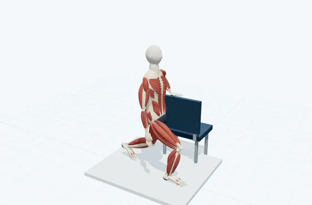 A schematic 3D view of Supported Standing Hip Flexor Stretch