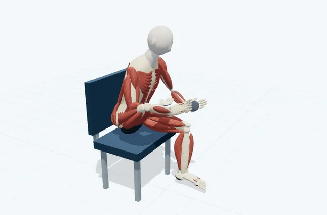 A schematic 3D view of Seated Toe and Plantar Stretch