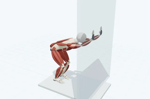 A schematic 3D view of Wall Shoulder Stretch