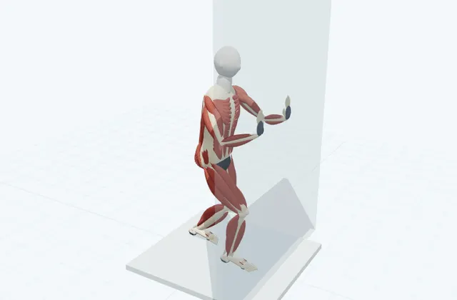 A schematic 3D view of Bent-Knee Calf Stretch