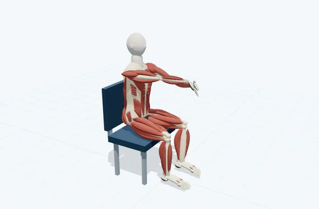 A schematic 3D view of Wrist Extensor Stretch