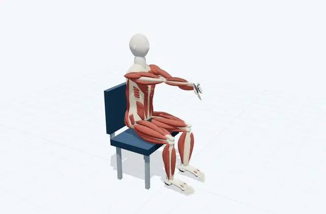 A schematic 3D view of Wrist Flexor Stretch