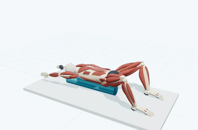 A schematic 3D view of Arm Reach Overhead on the Roller