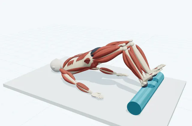 A schematic 3D view of Bridge with Heels on the Roller