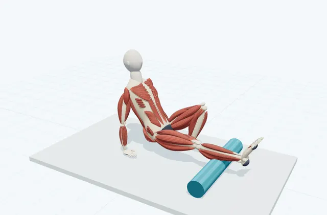 A schematic 3D view of Calf Rolling