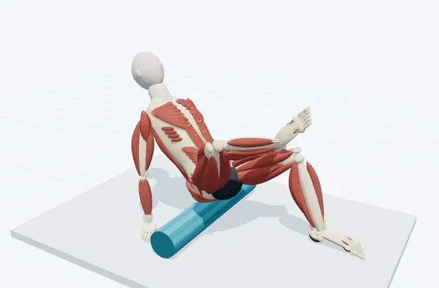 A schematic 3D view of Glute Rolling