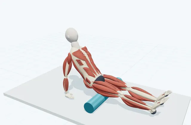 A schematic 3D view of Hamstring Rolling