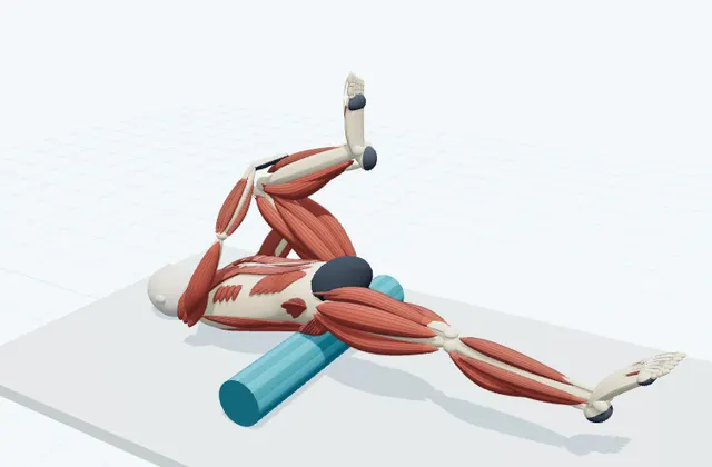 A schematic 3D view of Hip Flexor Stretch with the Pelvis on the Roller