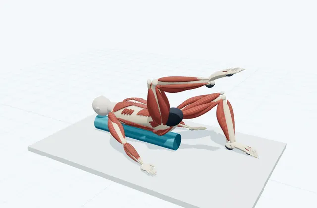 A schematic 3D view of Knee Fold on the Roller