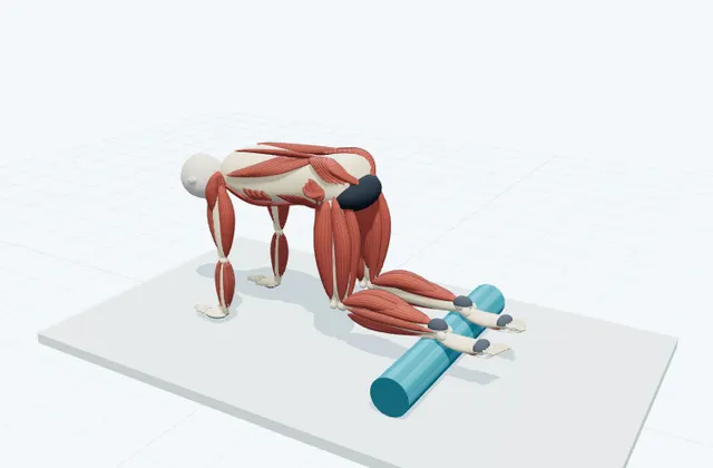 A schematic 3D view of Knee Tuck on the Roller