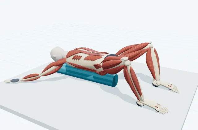 A schematic 3D view of Snow Angel on the Roller