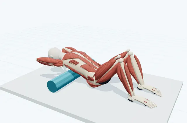 A schematic 3D view of Thoracic Extension over the Roller