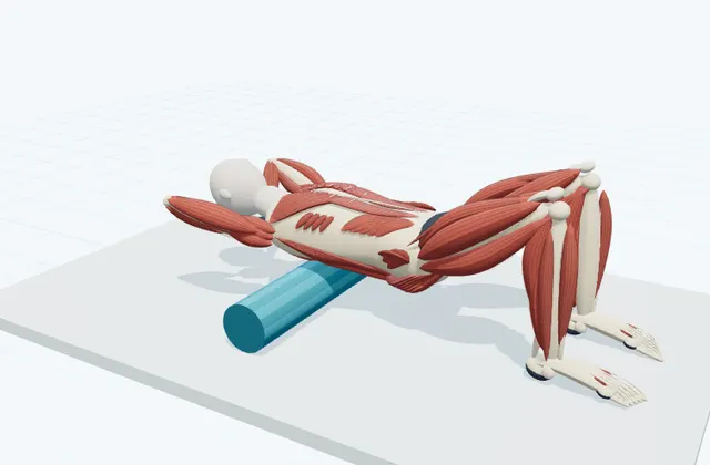 A schematic 3D view of Upper Back Rolling