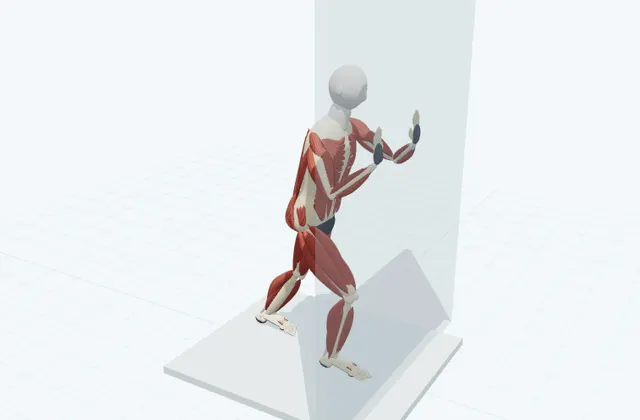 A schematic 3D view of Wall Calf Stretch