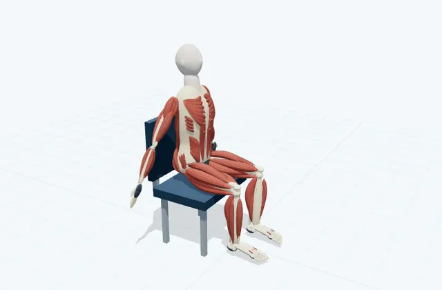 A schematic 3D view of Seated Chest Stretch