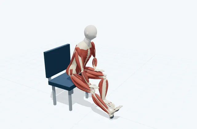A schematic 3D view of Seated Hamstring Stretch