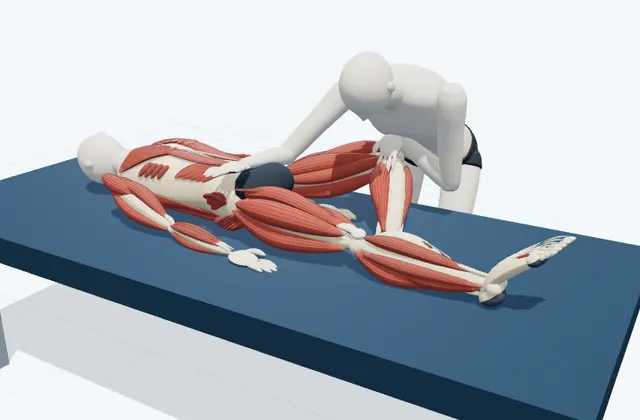 A schematic 3D view of Bent-Knee Adductor Stretch
